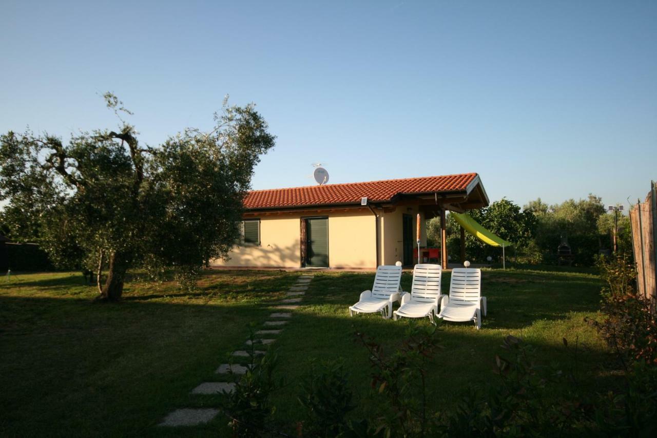 Due Casette Con Piscina Castagneto Carducci Extérieur photo